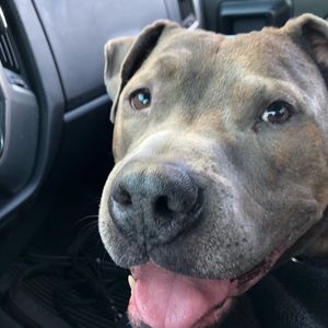 Meet your Posher, Mark